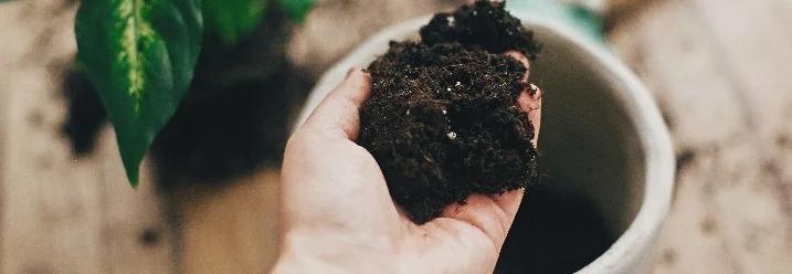Hand hält Erde über Blumentopf